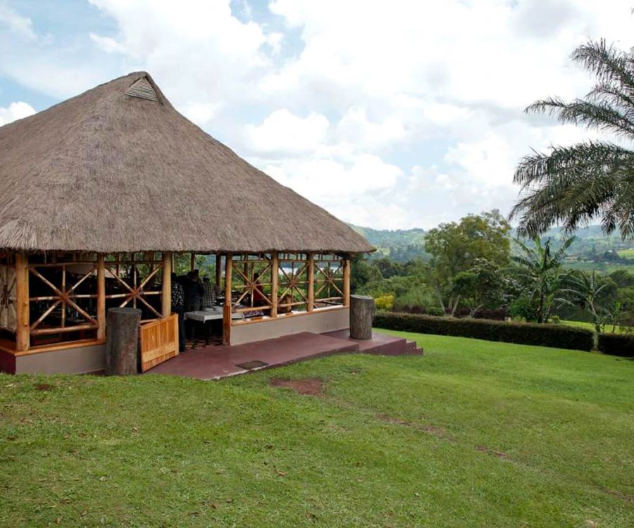 chimp-guest-house (1)